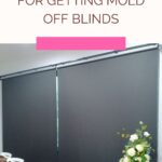 Top Tips For Getting Mold Off Blinds