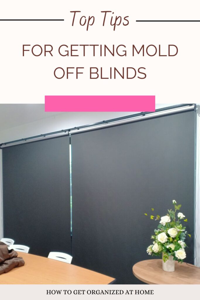 Top Tips For Getting Mold Off Blinds