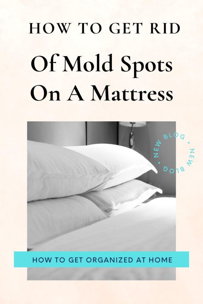 How To Get Rid Of Mold Spots On A Mattress