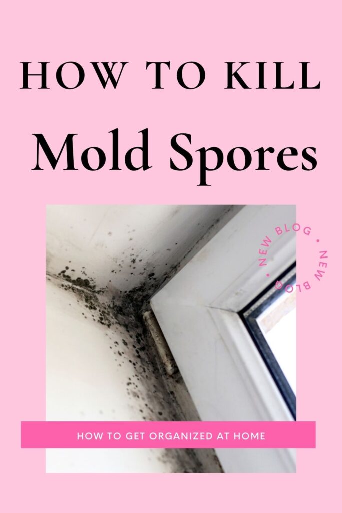 How To Kill Mold Spores?