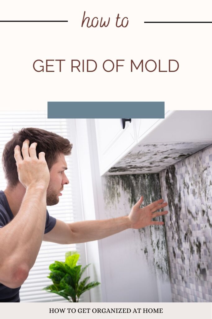 How To Get Rid Of Mold