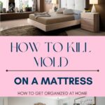 How To Kill Mold On A Mattress