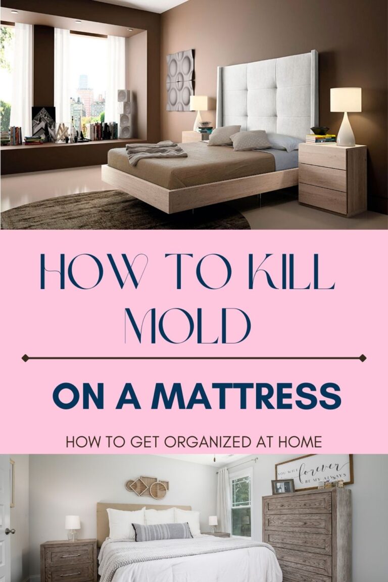 how-to-kill-mold-on-a-mattress-how-to-get-organized-at-home