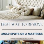 Best Way To Remove Mold Spots On A Mattress