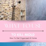 What To Use To Kill Mold