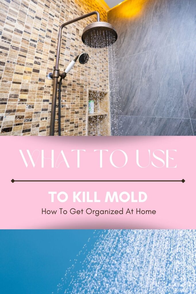 What To Use To Kill Mold