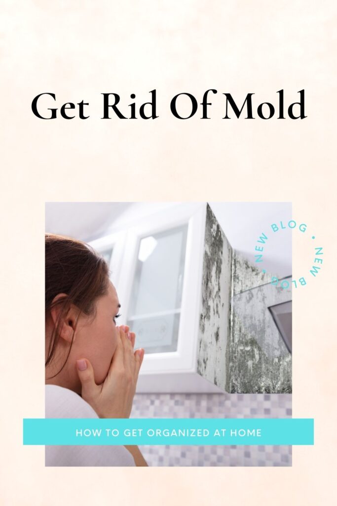 Get Rid Of Mold