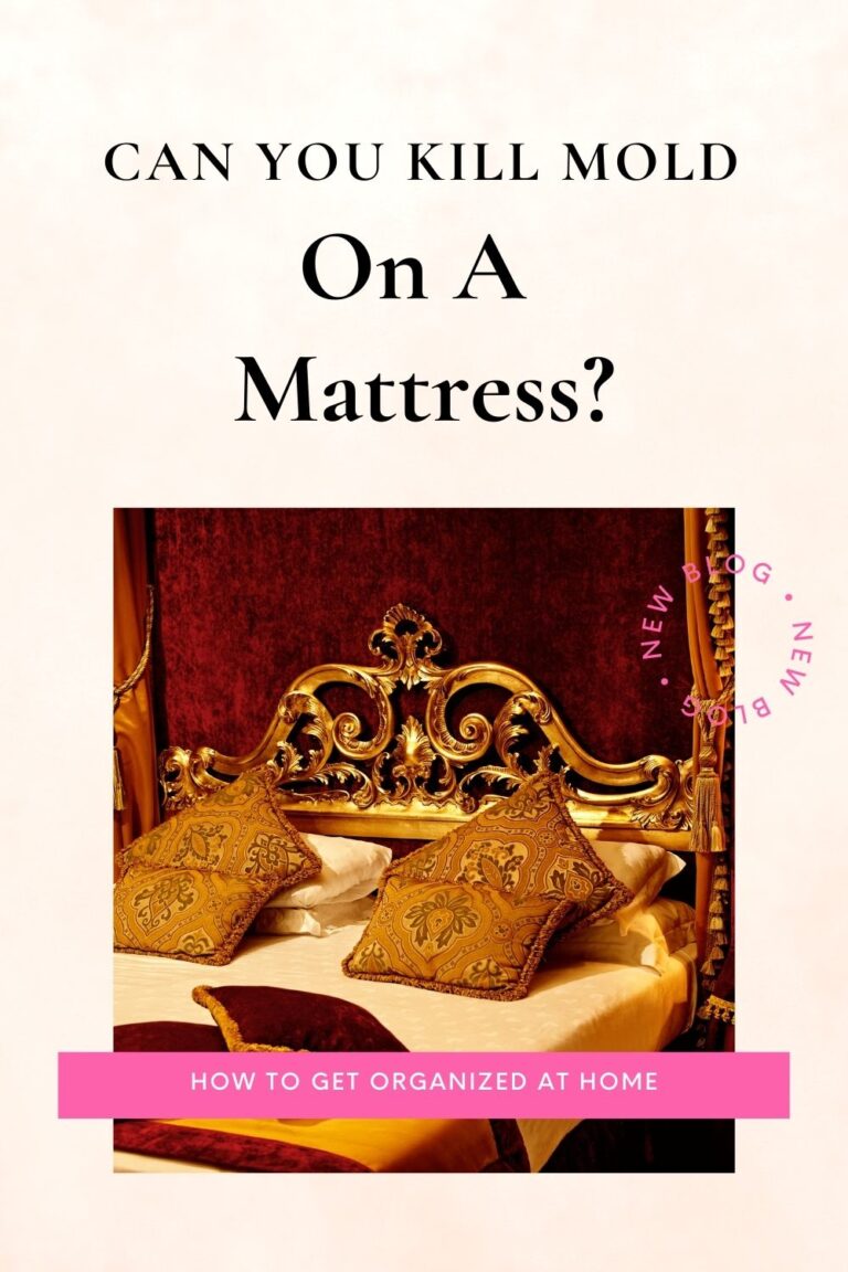How To Kill Mold On A Mattress How To Get Organized At Home