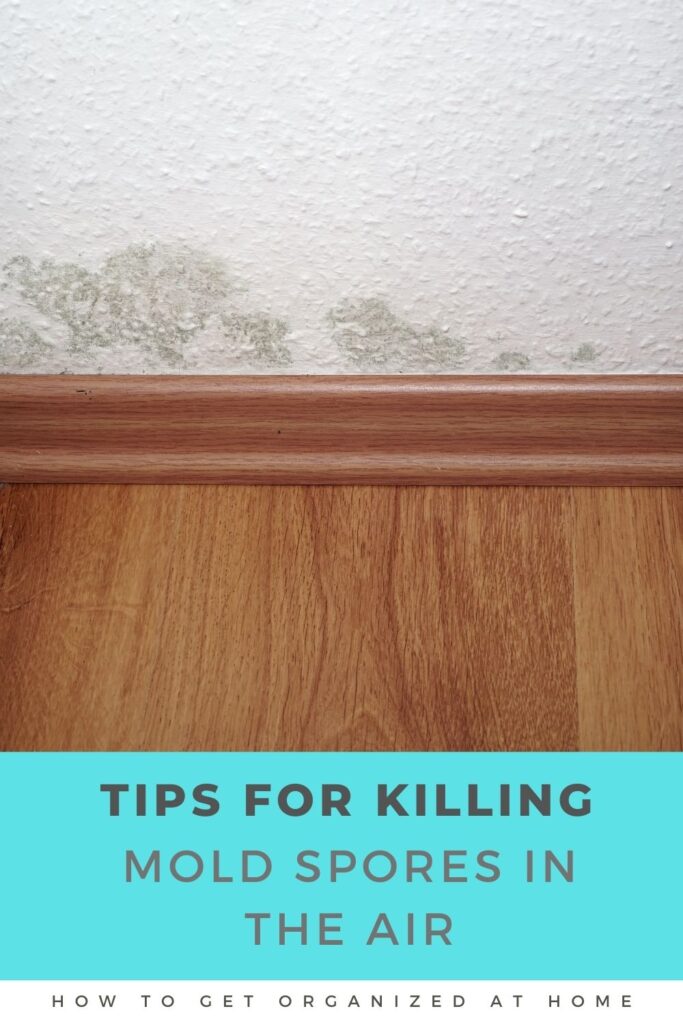 Tips For Killing Mold Spores In The Air