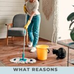 What Reasons Do You Have For Cleaning?