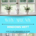 Why Are My Windows Wet?