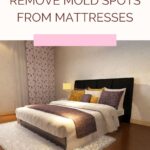 How To Remove Mold Spots From Mattresses