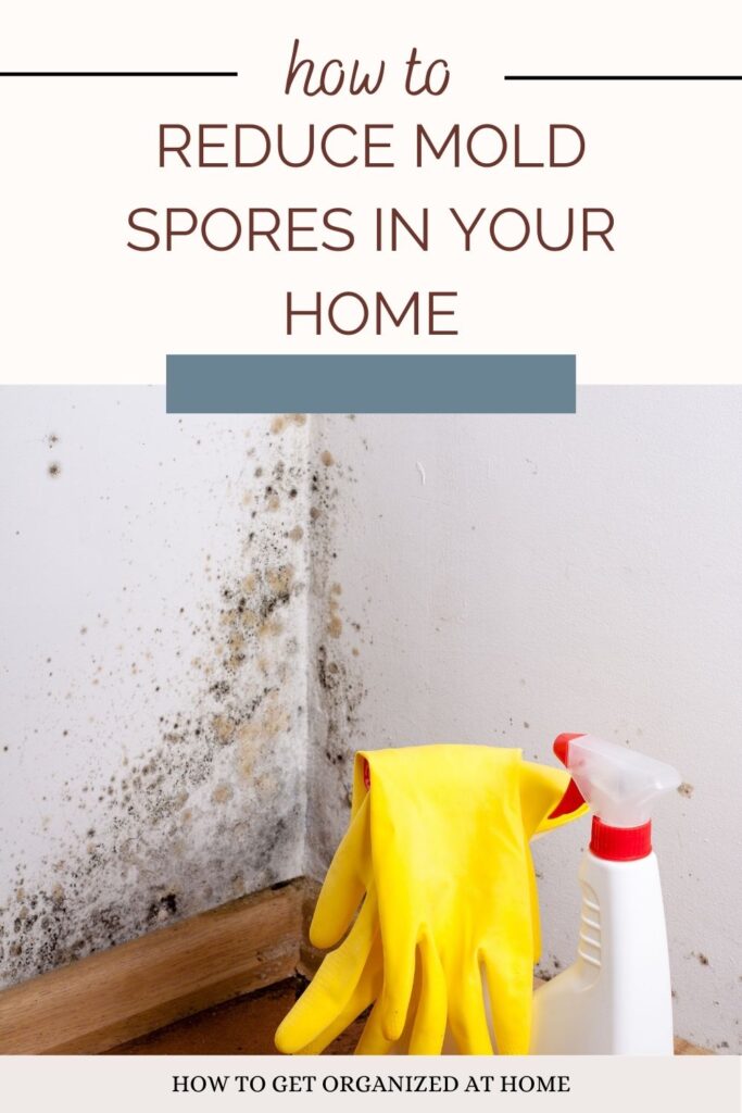 How To Reduce Mold Spores In Your Home