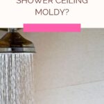 Is Your Shower Ceiling Moldy?