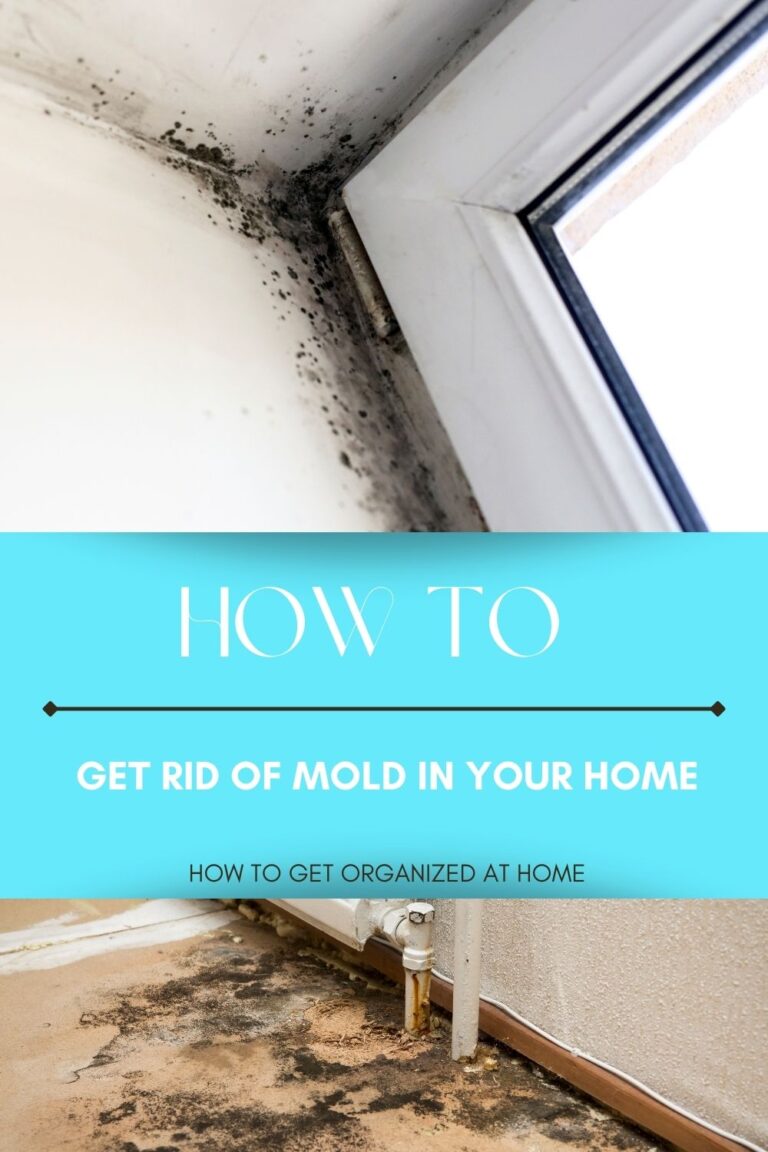 What’s The Best Way To Get Rid Of Mold?