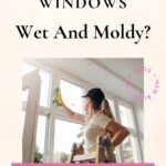 Why Are My Windows Wet And Moldy?