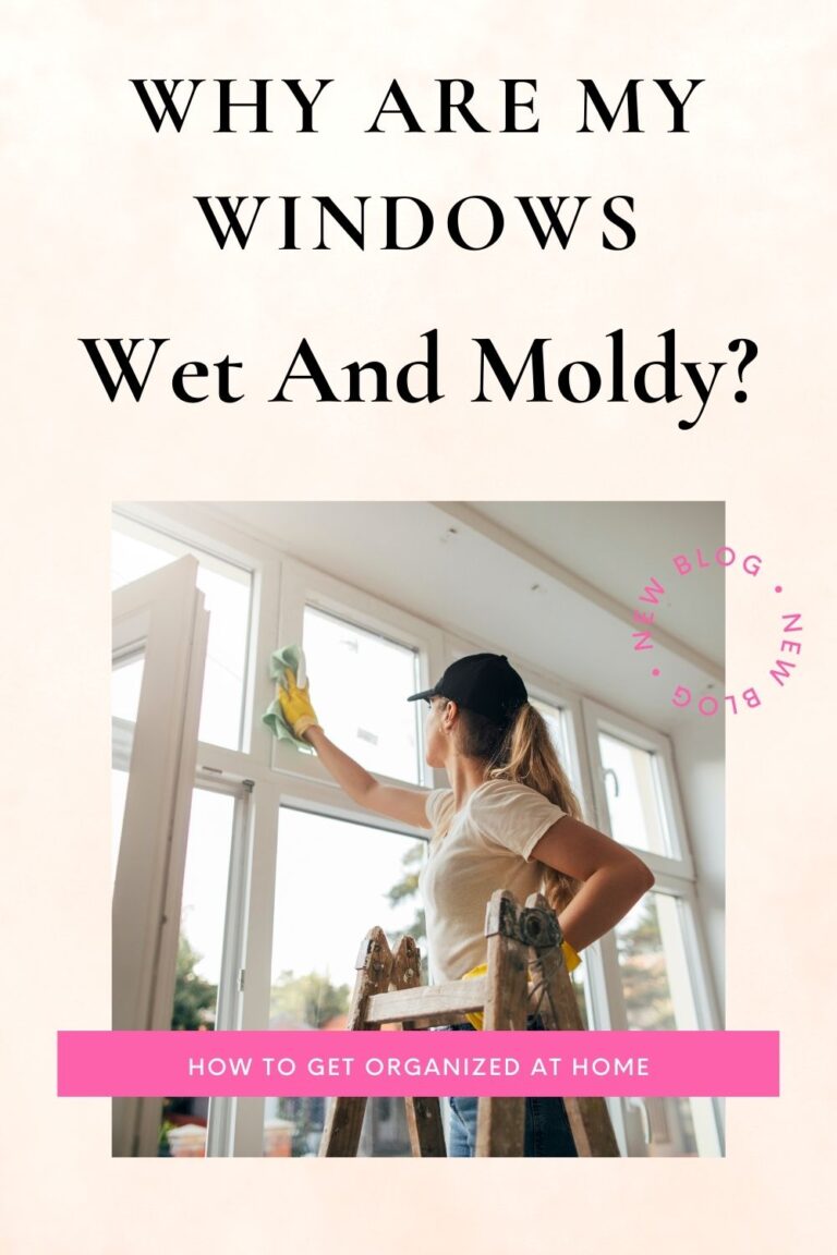 My Windows Are Sweating And Causing Mold