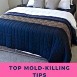 Top Mold-Killing Tips On A Mattress