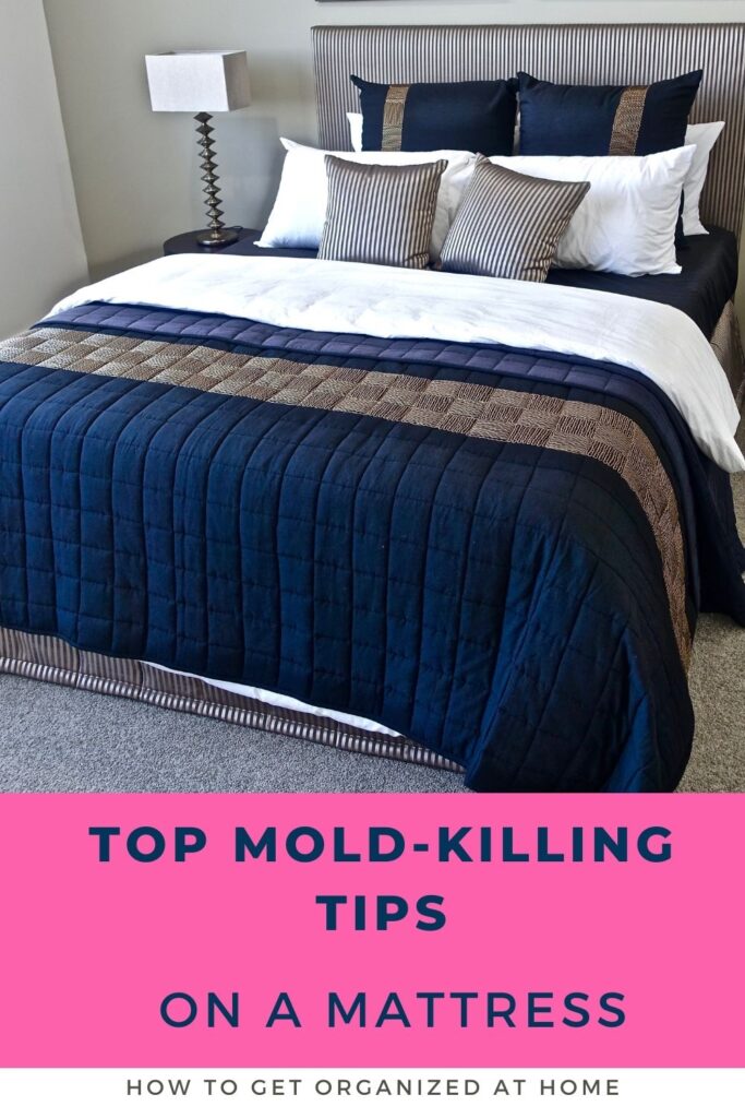 Top Mold-Killing Tips On A Mattress