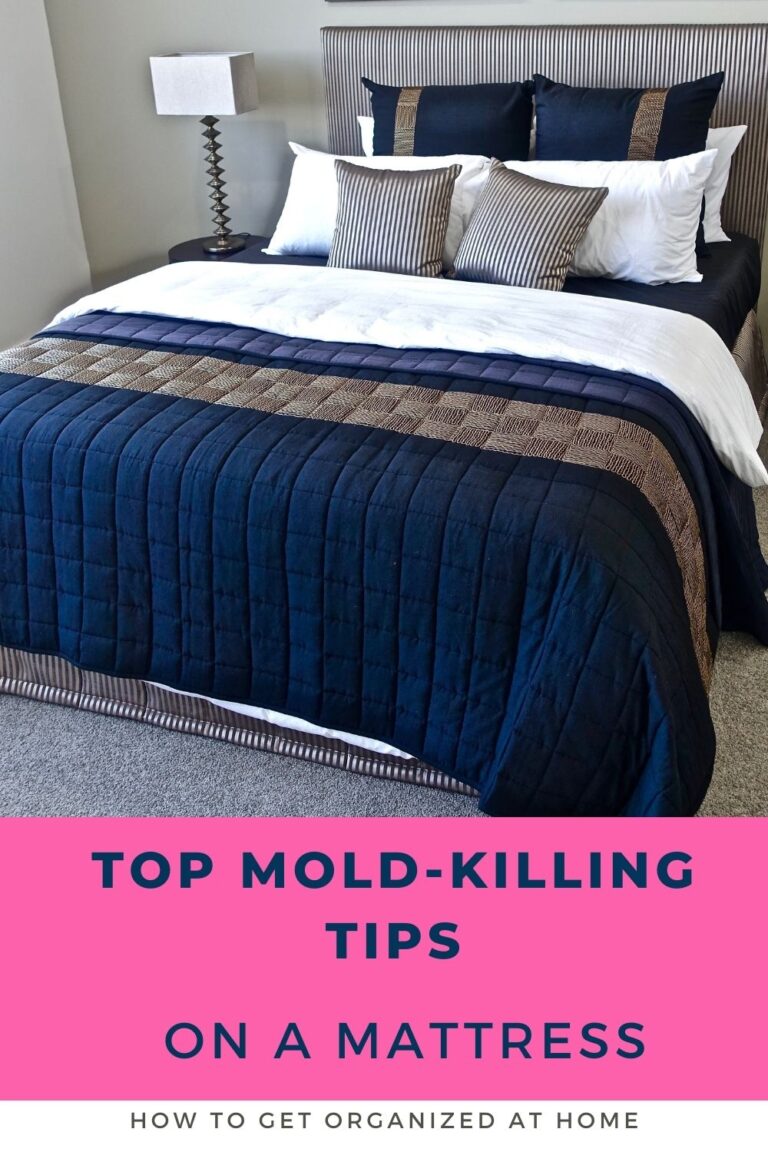 How To Kill Mold On A Mattress How To Get Organized At Home