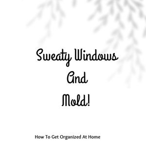 My Windows Are Sweating And Causing Mold