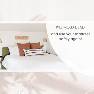 How To Kill Mold On A Mattress