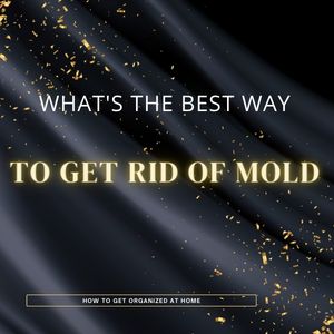 What’s The Best Way To Get Rid Of Mold?