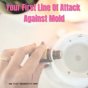 What’s The Best Oil Difusser For Getting Rid Of Mold?