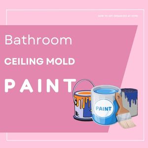 mold paint