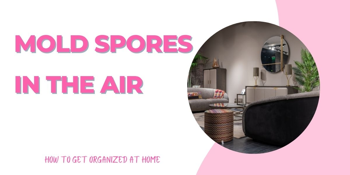 How To Kill Mold Spores In The Air