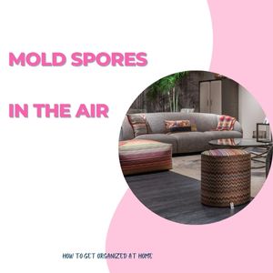 How To Kill Mold Spores In The Air