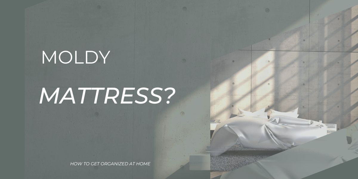 How To Remove Mold Spots On A Mattress