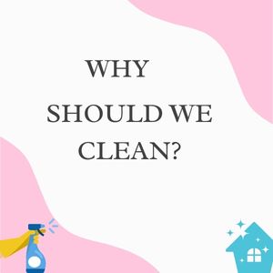 Why Should We Clean Our Homes