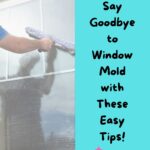 The Best Ways For Tackling Mold On Window Sills