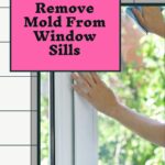 Remove Mold From Window Sills