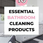 10 essential cleaning products for a bathroom