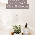 Unlock The Secrets To A Clean Bathroom