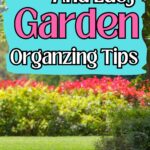 10 Steps to Organize and Revamp Your Home Garden