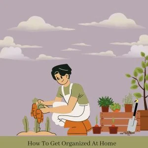 10 Steps to Organize and Revamp Your Home Garden