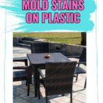 Get Rid Of mold stains on plastic