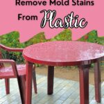 How To Remove Mold Stains From Plastic