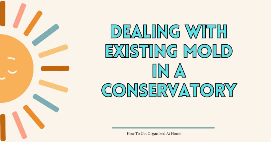 Graphic image of half a sun and the words 'dealing with existing mold in a conservatory' are to the right of the image.