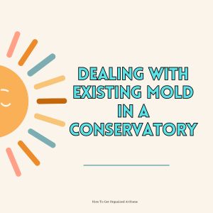 Dealing With Existing Mold In A Conservatory