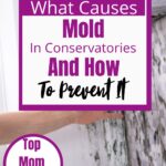 The words are on the image. 'Discover what causes mold in conservatories and how to prevent it, top mom tip' The image is a moldy wall and a hand touching it!