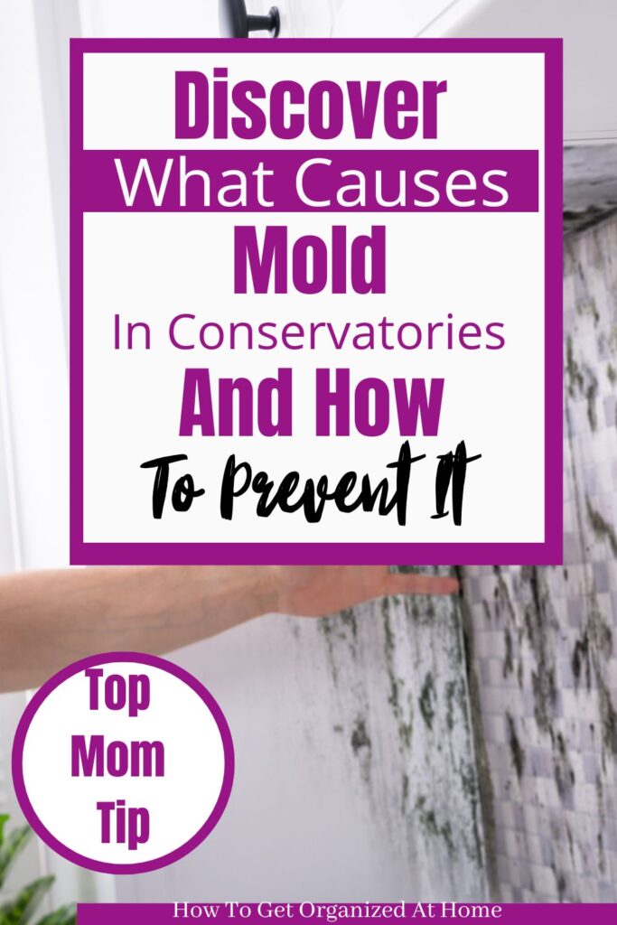 The words are on the image. 'Discover what causes mold in conservatories and how to prevent it, top mom tip' The image is a moldy wall and a hand touching it!