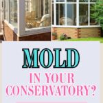 'Mold in your conservatory? Here's how to get rid of it' are the words at the bottom of the image. At the top are two images of conservatories from the outside.