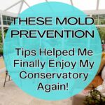 The words 'These mold prevention tips helped me finally enjoy my conservatory again' are on the image of a conservatory in a blue circle.