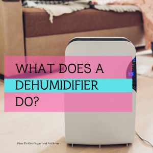 What Does A Dehumidifier Do?